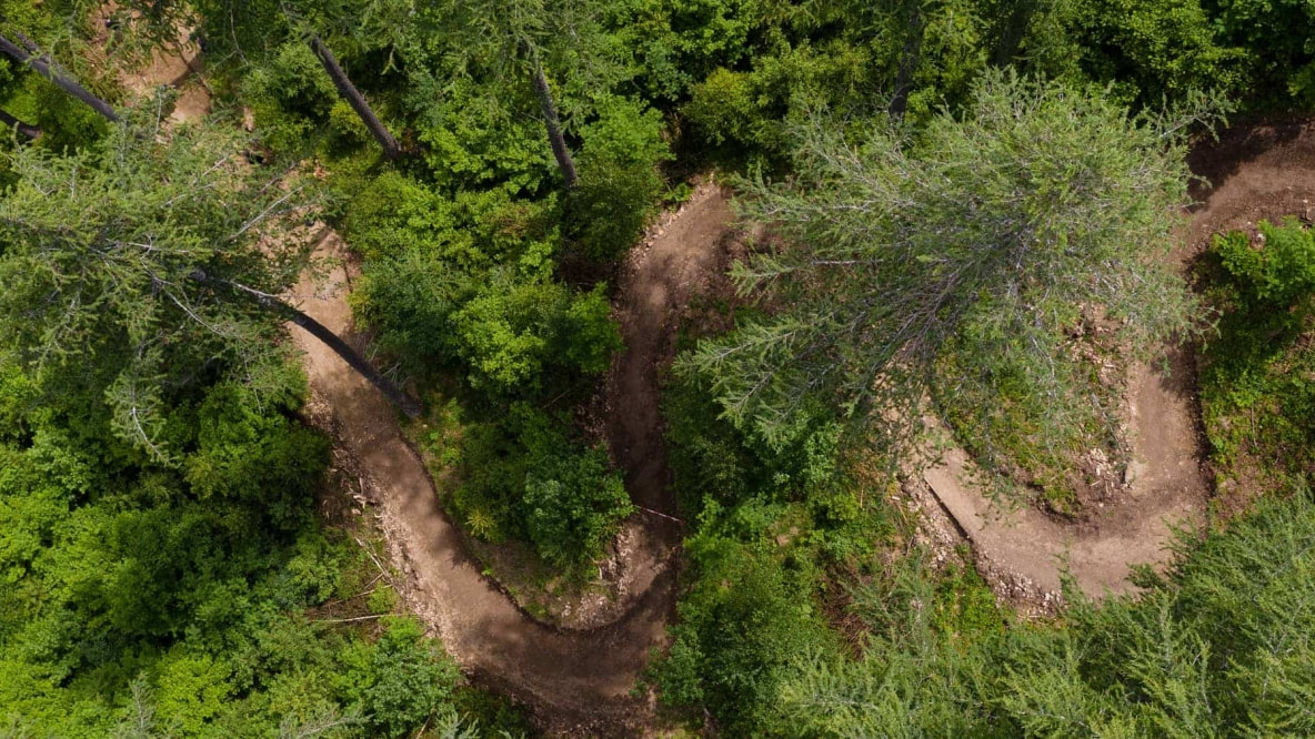 Ein Biketrail im Wald