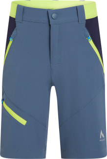 Brenton Wandershorts