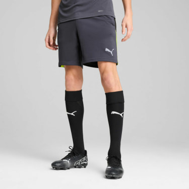 IndividualLIGA Trainingsshorts