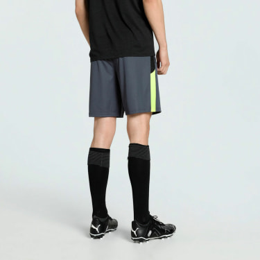 IndividualLIGA Trainingsshorts