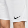Dri-Fit Park III tréninkové fotbalové kraťasy